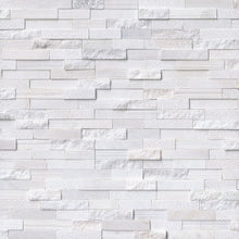 Arctic White