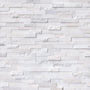 Arctic White
