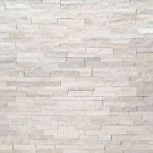 Arctic White