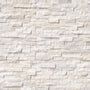 Arctic White