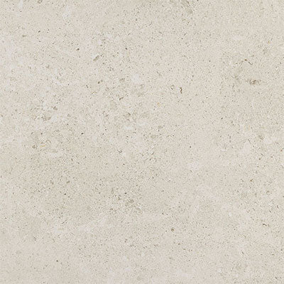 Daltile Dignitary 24" x 24" Xterior Paver 20MM Luminary White