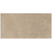 Marazzi Modern Formation 12" x 24" Matte Canyon Taupe