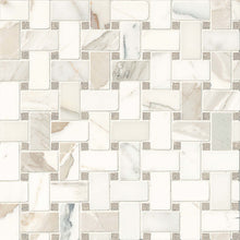 Calacatta Oro and Seagrass Dot
