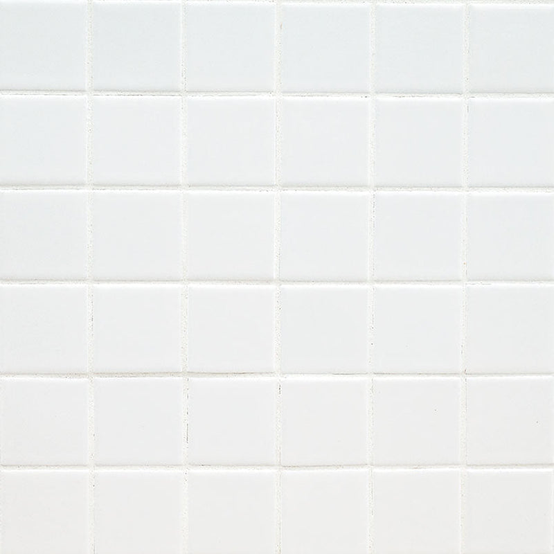 MS International Domino 12" x 12" Matte 6mm 2" x 2" White