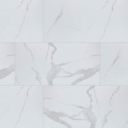 MS International Eden 24" x 48" Polished Statuary