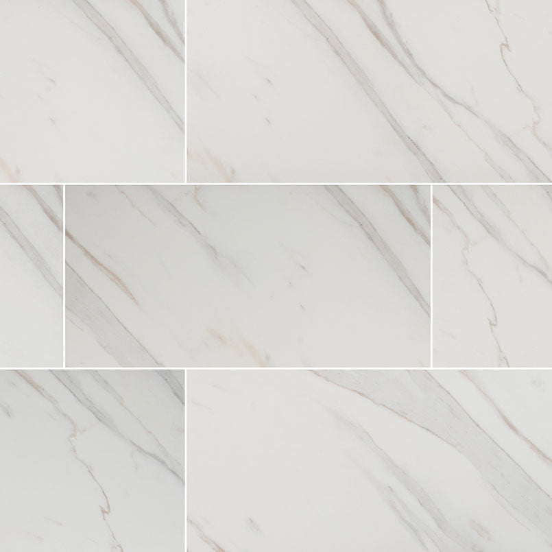 MS International Pietra 12" x 24" Polished Calacatta
