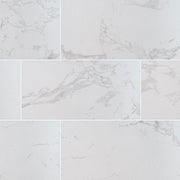 MS International Praia 12" x 24" Polished 9.6mm Carrara