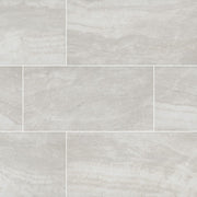 MS International Praia 24" x 48" Polished 9.6mm Grey