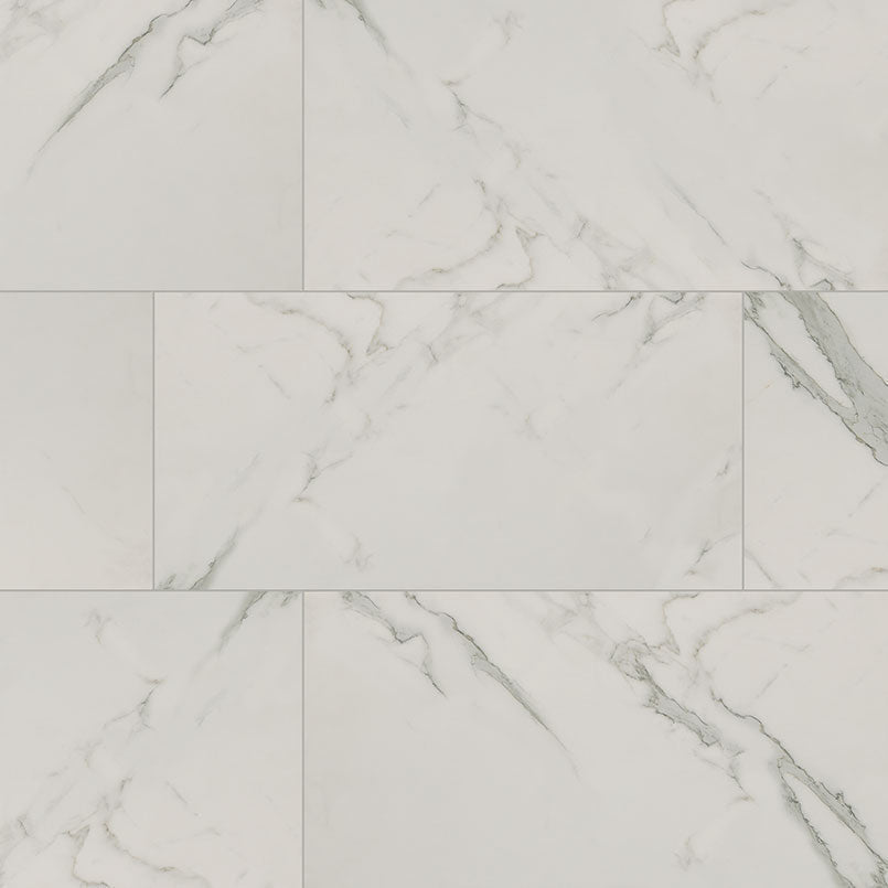 MS International Regallo 12" x 24" Matte Calacatta Isla