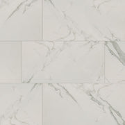 MS International Regallo 12" x 24" Matte Calacatta Isla