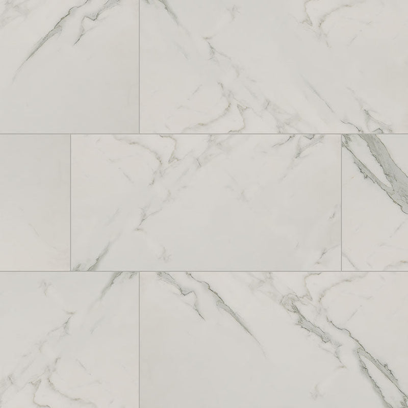 MS International Regallo 12" x 24" Matte Calacatta Isla