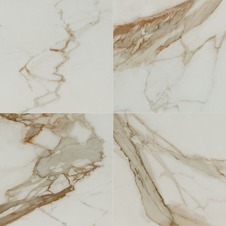 MS International Regallo 24" x 24" Matte Calacatta Marbella