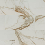 MS International Regallo 24" x 48" Matte Calacatta Marbella