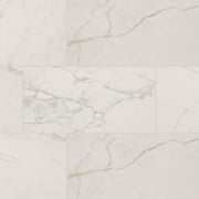 MS International Regallo 24" x 48" Matte Calacatta Isla