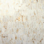 Wintour Ivory