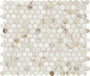 Wintour Ivory