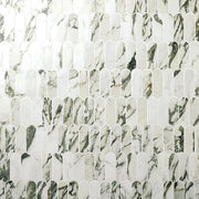 Marazzi Editorial 2" x 5" Fish Scale Mosiac 10" x 11" Polished Vireo Balmain