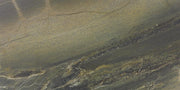 Marazzi Editorial 12" x 24" Matte Emerald Cavalli