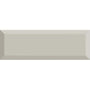 Scholarly Gray