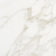 Marazzi Marble Obsession 24" x 24" Matte Arabescato