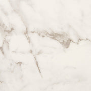 Marazzi Marble Obsession 24" x 24" Matte Calacatta Gold
