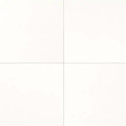 Daltile Marble 12" x 12" Honed Thassos Snow White