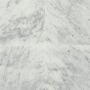 Daltile Marble 12" x 12" Polished Carrara White