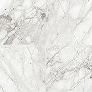 Daltile Marble 18" x 18" Honed Venetian Calacatta