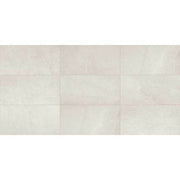Daltile Slate Attache 12" x 24" Meta White