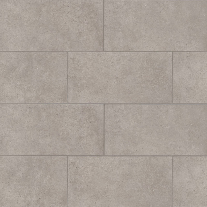 Bedrosians Materika 12" x 24" Matte Silver