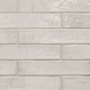 MS International Stella 2" x 10" Glossy Rhino