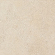 Daltile Haut Monde 12" x 24" Matte Nobility White