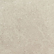 Daltile Dignitary 12" x 24" Rectangle Matte Notable Beige