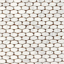 Contempo White