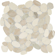 Seashell