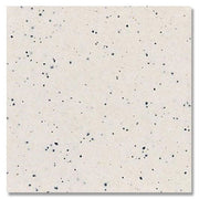 Daltile Keystones 10" x 22" Penny Rounds Mosaic Pepper White