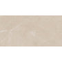 Elegant Beige