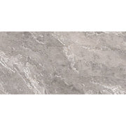 Daltile Perpetuo 12" x 24" Polished Eternal Grey