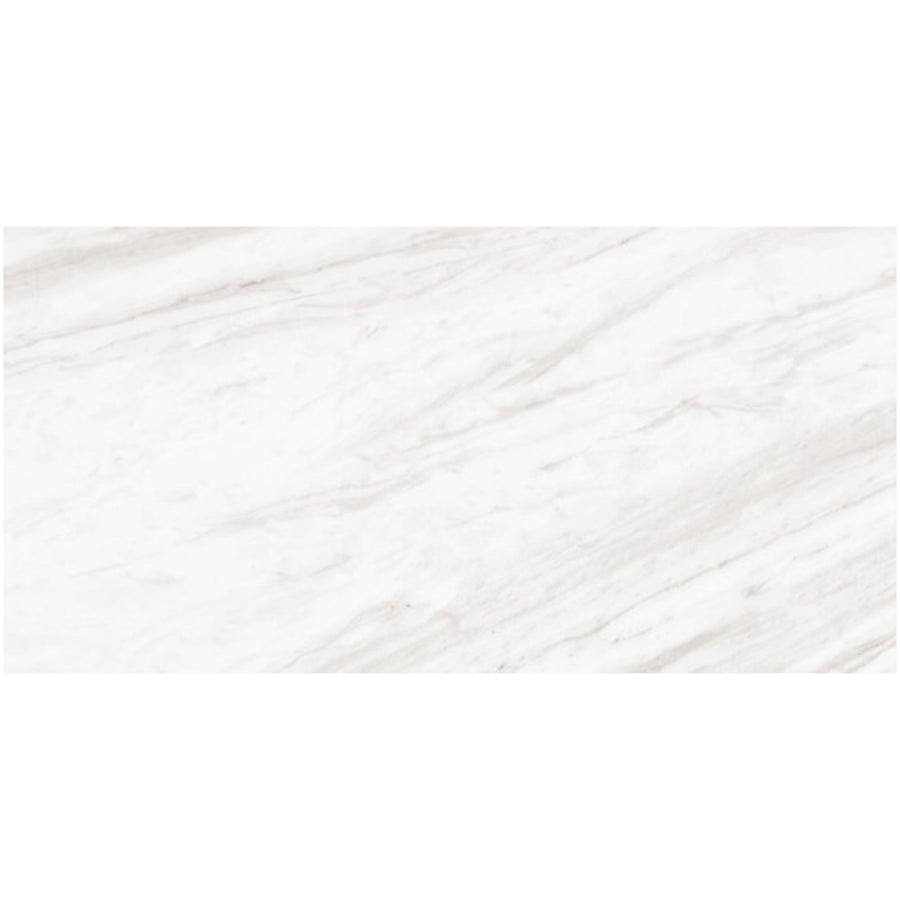 Daltile Perpetuo 12" x 24" Polished Timeless White
