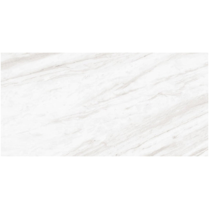 Daltile Perpetuo 12" x 24" Polished Timeless White