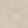 Elegant Beige
