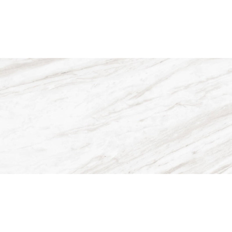 Daltile Perpetuo 12" x 24" Timeless White