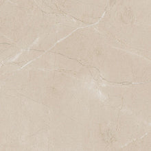 Elegant Beige