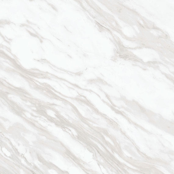 Daltile Perpetuo 24" x 24" Matte Timeless White