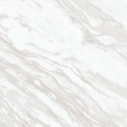 Daltile Perpetuo 24" x 24" Polished Timeless White