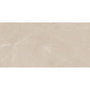 Elegant Beige