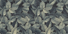 Jungle