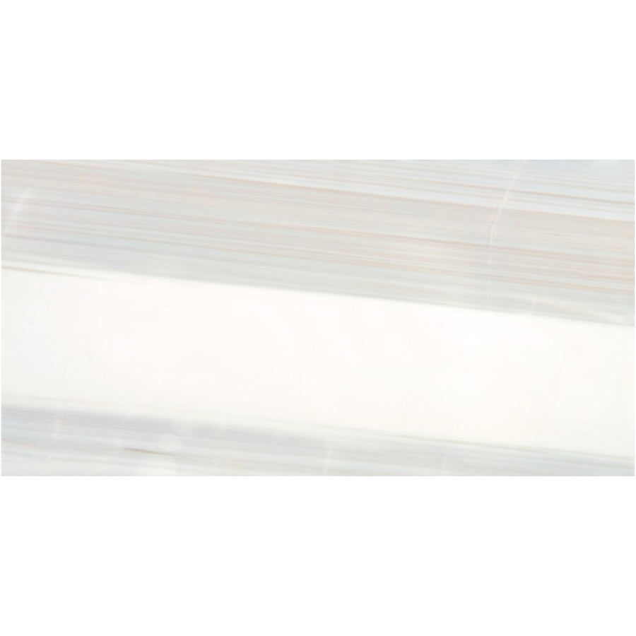 Daltile Pietra Divina 12" x 24" Honed Calacatta Dolomiti