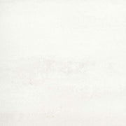 Emser Prodigy 24"x24" Polished Agnesi