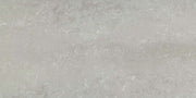 Emser Prodigy 12"x24" Polished Fermi
